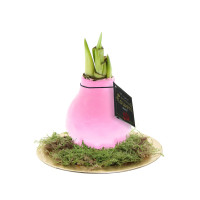 Pastellrosa